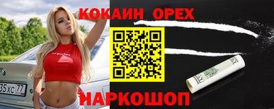 гашик Кинель