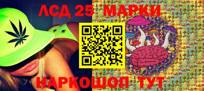сатива Кингисепп