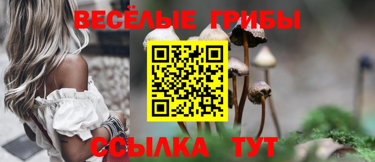 Псилоцибиновые грибы мицелий  Вход с VPN  цены   Ханты-Мансийск 
